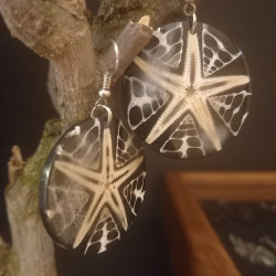 Ohrringe mit echtem Seestern-Inlay!